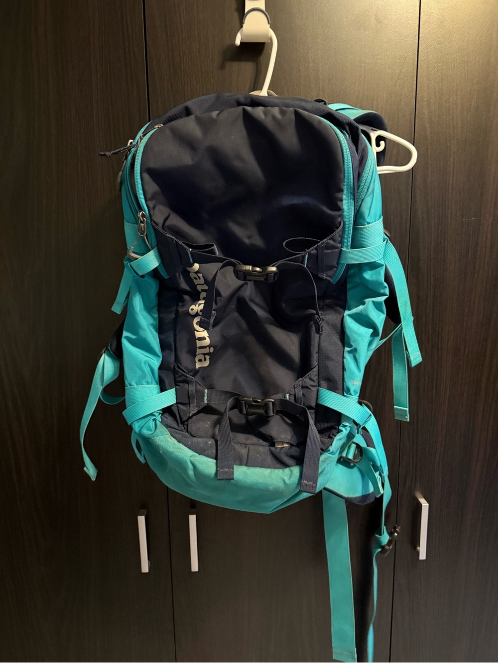 Patagonia snowdrifter 30L
